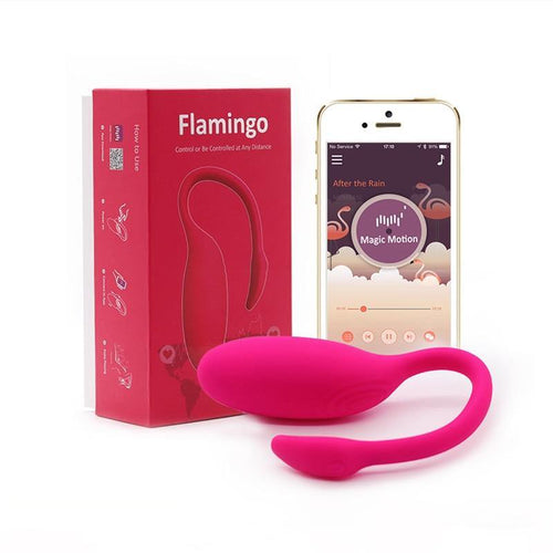 flamingo-1