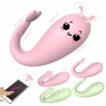 Vibrador de Ponto G e Clitóris com Controle Bluetooth Silencioso - Friendly Sexy