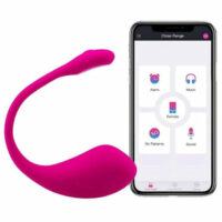 Lush 2 - Vibrador de Luxo com Controle Remoto via APP