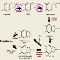 Clareador de Virilha/Anal – Pedra Natural de Fricção Oxidante